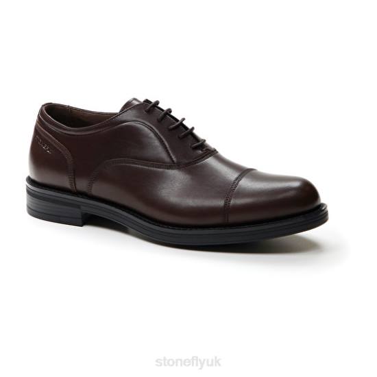 Men CARNABY 1 CALF LTH Dark Brown Stonefly 0BDD349 Shoes