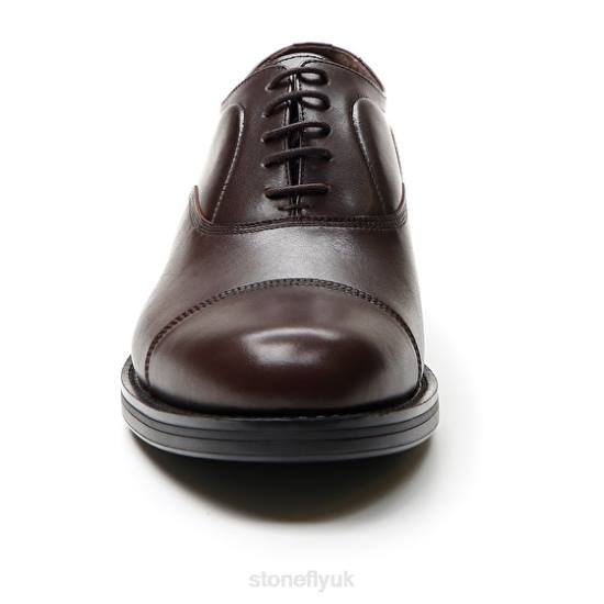 Men CARNABY 1 CALF LTH Dark Brown Stonefly 0BDD349 Shoes